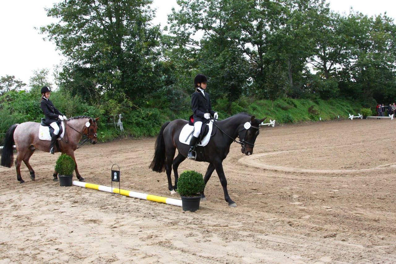 Bild 797 - WBO-Turnier am 18.9.11